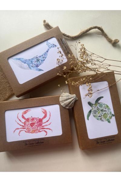 Greeting Card Set - The Ocean Collection 